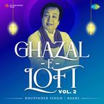 Zindagi Mein Jab LoFi Flip artwork