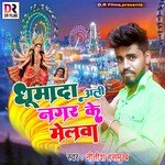 Ghumadi Ali Nagar Ka Mela