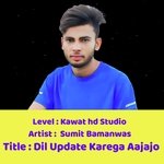 Happy new year Meena geet