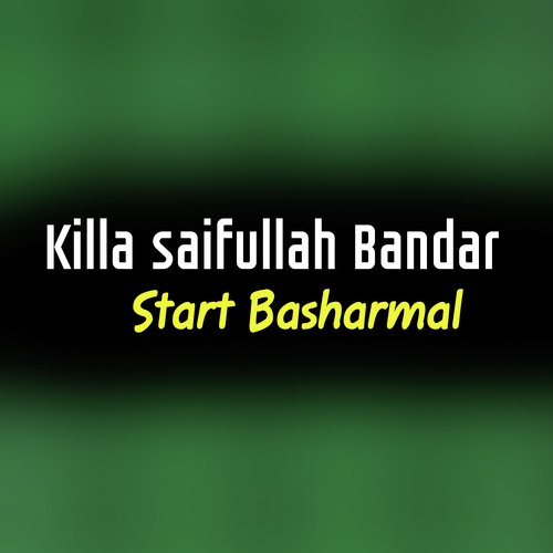 Killa saifullah Bandar