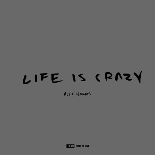 Life Is Crazy