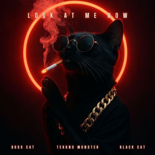 Look At Me Now (Techno Mix Extended)