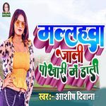 Mallahava Jali Pokhari Me Dali