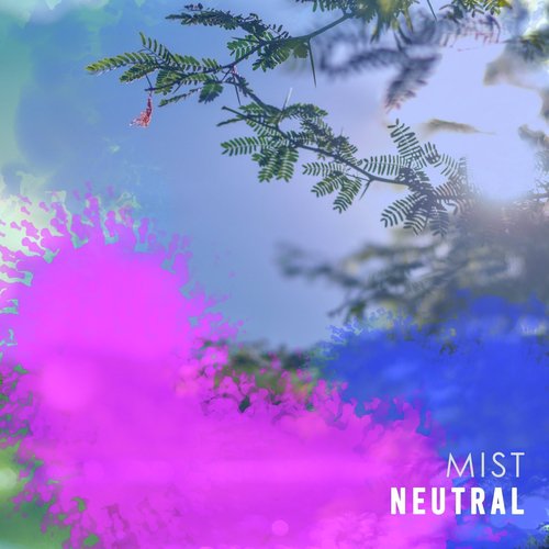 Meditation Zone cover art