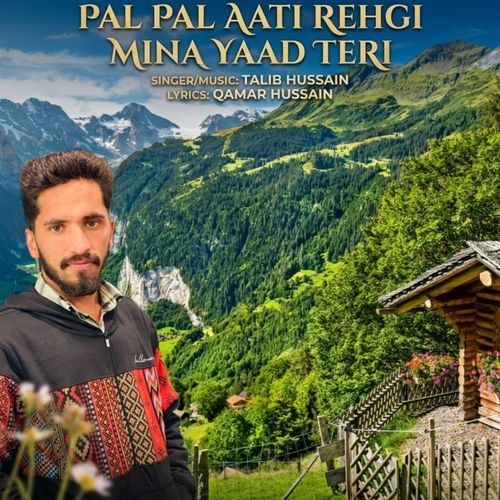 Pal Pal Aati Rehgi Mina Yaad Teri
