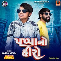 Hay Re Mari Janudi-Pappa No Hero