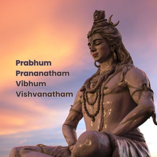 Prabhum Prananatham Vibhum Vishvanatham