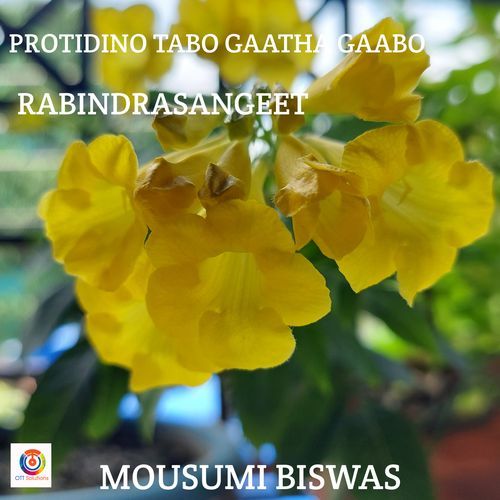 Protidino Tabo Gaatha Gaabo