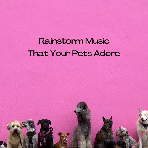 Rainstorm Music That Your Pets Adore