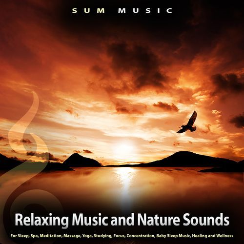 Some Study Music cover art