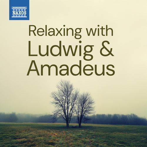 Relaxing With Ludwig & Amadeus