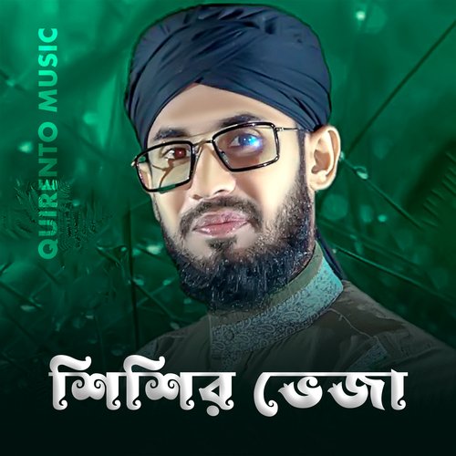 Shishir Veja