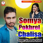 Somya Pokhrel Chalisa artwork