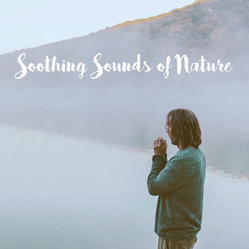 Soothing Sounds of Nature