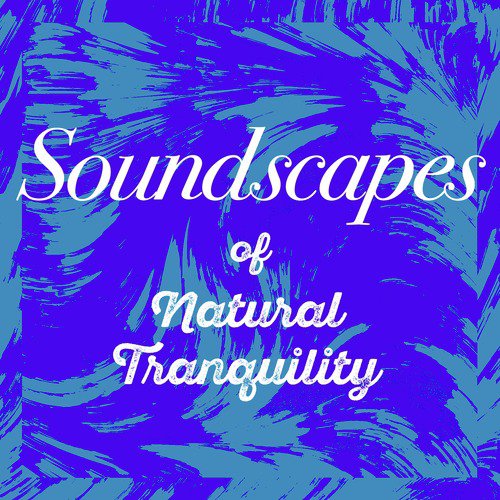 Soundscapes of Natural Tranquility_poster_image