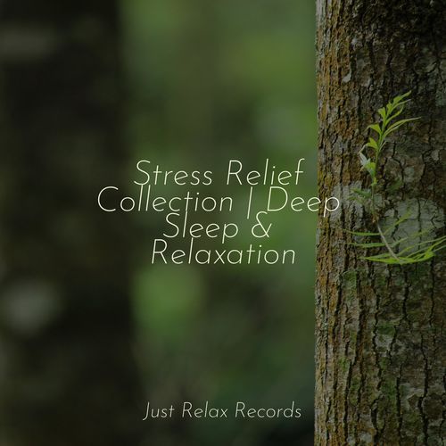 Stress Relief Collection | Deep Sleep & Relaxation_poster_image