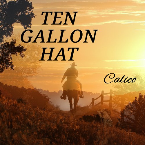 Ten Gallon Hat_poster_image