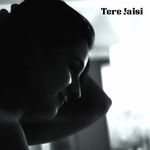 Tere Jaisi