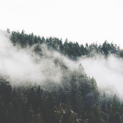 The Treacherous Peninsula