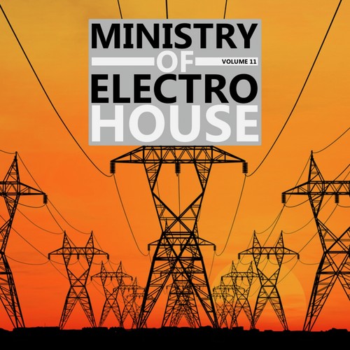 Ministry of Electro House Vol. 11