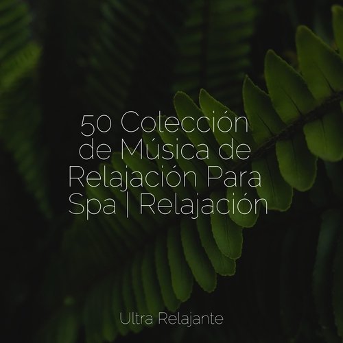 50 Colección de Música de Relajación Para Spa | Relajación_poster_image