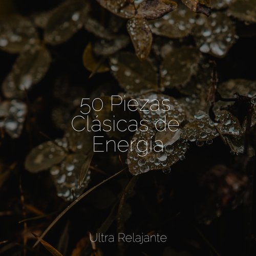 Viento Del Bosque Pacífico cover art