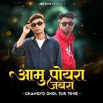 AAMU POYRA JABRA CHANGYO DHOL TUR TONE