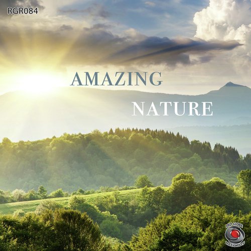 Amazing Nature 