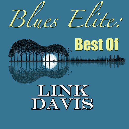 Blues Elite: Best Of Link Davis