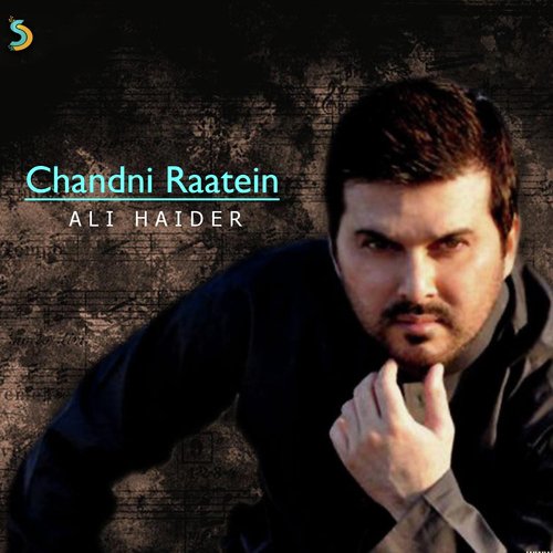 Chandni Raatein (Remix)