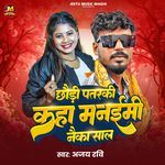 Chhaudi Patarki Ge Kahan Manaimi Nayaka Sal