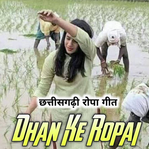 Dhan Ke Ropai