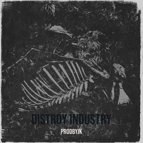 Distroy Industry cover art