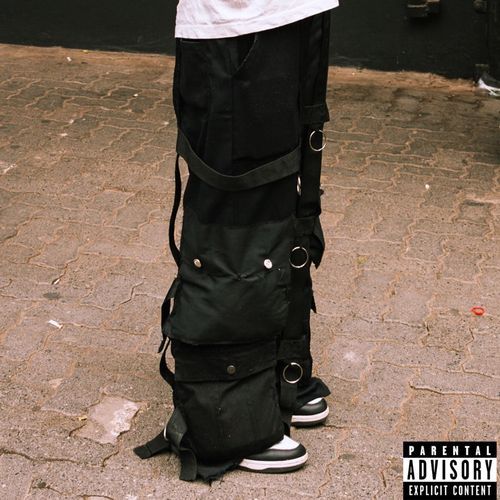 Dim out the lights cover art