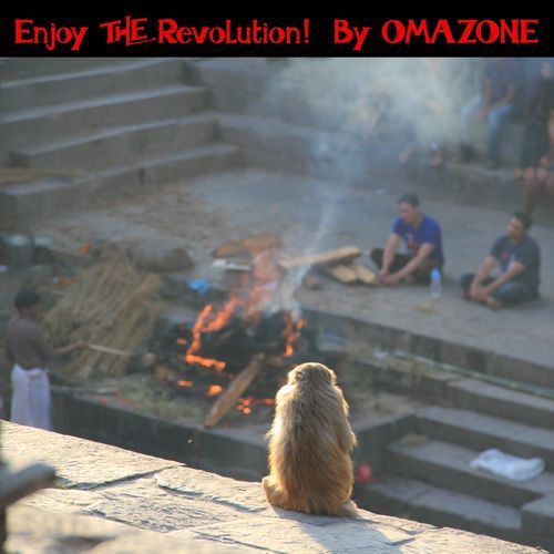 Enjoy the Revolution!