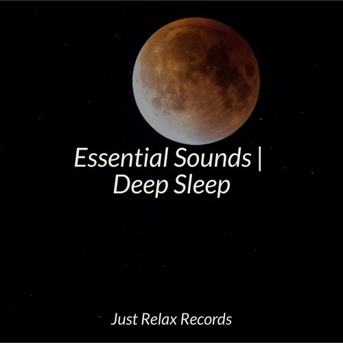 Essential Sounds | Deep Sleep