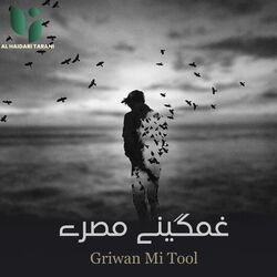 Griwan Mi Tool-J1EcYTlCBgU