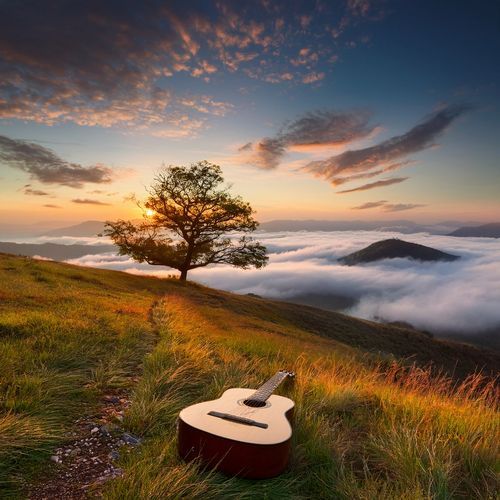 Guitar Music for Focused Meditation and Relaxation