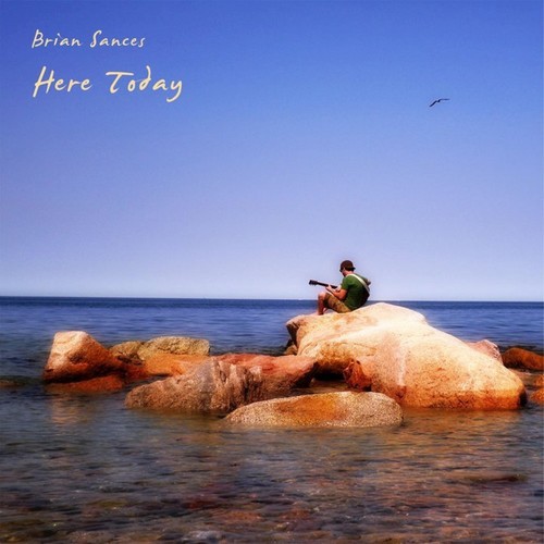 Birds on a Wire cover art