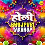 Holi Bhojpuri Mashup