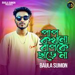 পাপ কখনো বাপকে ছাড়ে না