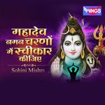 Mahadev Naman Charnon Mein Sweekar Kijiye