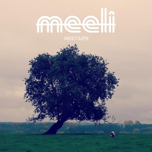 Spiel des Lebens (feat. Peat Miles & Noah Gordon)