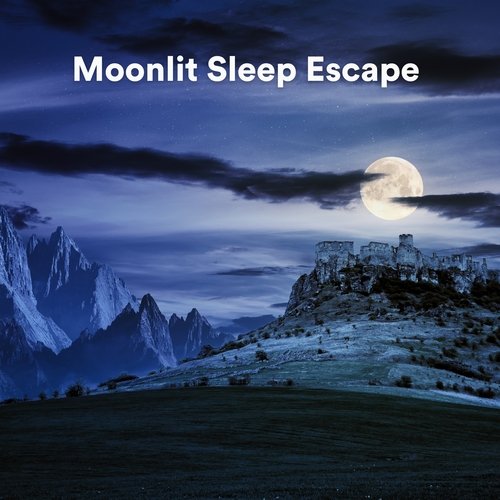 Moonlit Sleep Escape