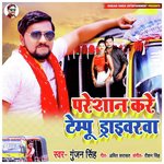 Paresan Kare Tempu Drivarwa