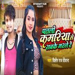 Patali Kamariya Se Sabke Marle Re