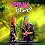 Pink Plazo