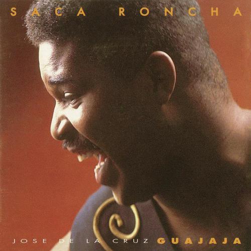 Saca Roncha_poster_image