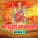 Shree Durga Saptshati Adhyay, Pt. 11