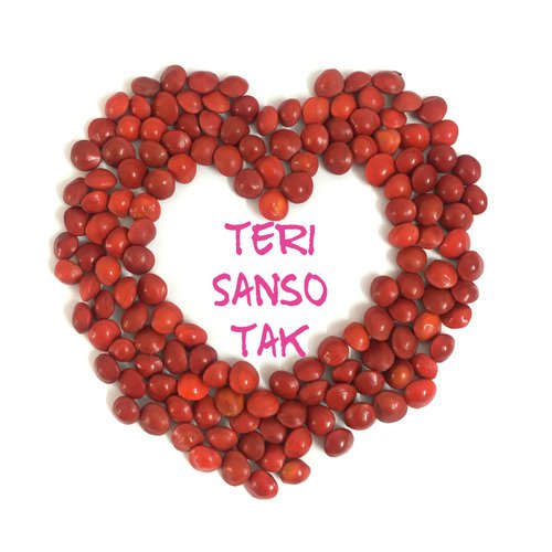 Teri Sanso Tak_poster_image